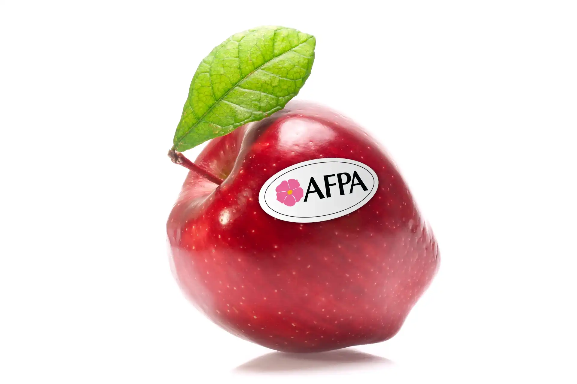 AFPA Banner